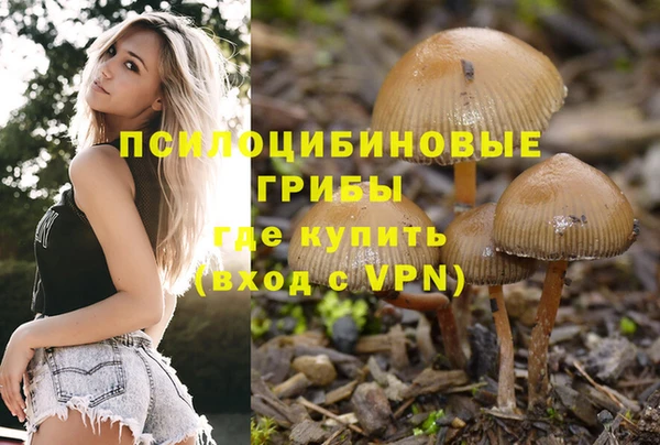 прущая мука Дегтярск
