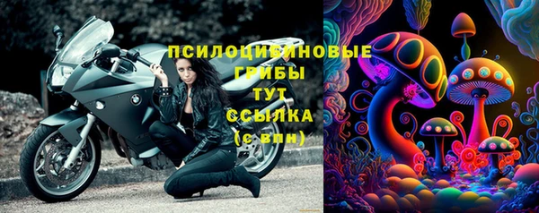 эйфоретик Пролетарск