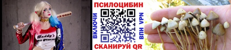 Галлюциногенные грибы прущие грибы  shop состав  Тарко-Сале 
